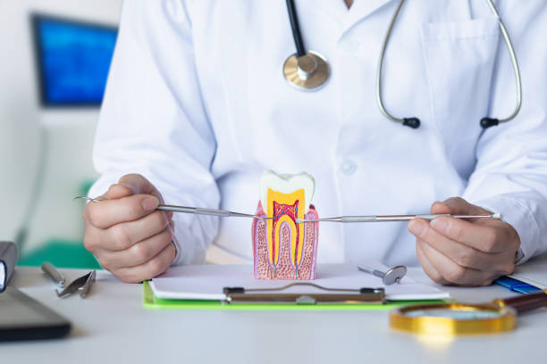 Best Emergency Treatment for Dental Infections or Abscesses in Mount Ayr, IA